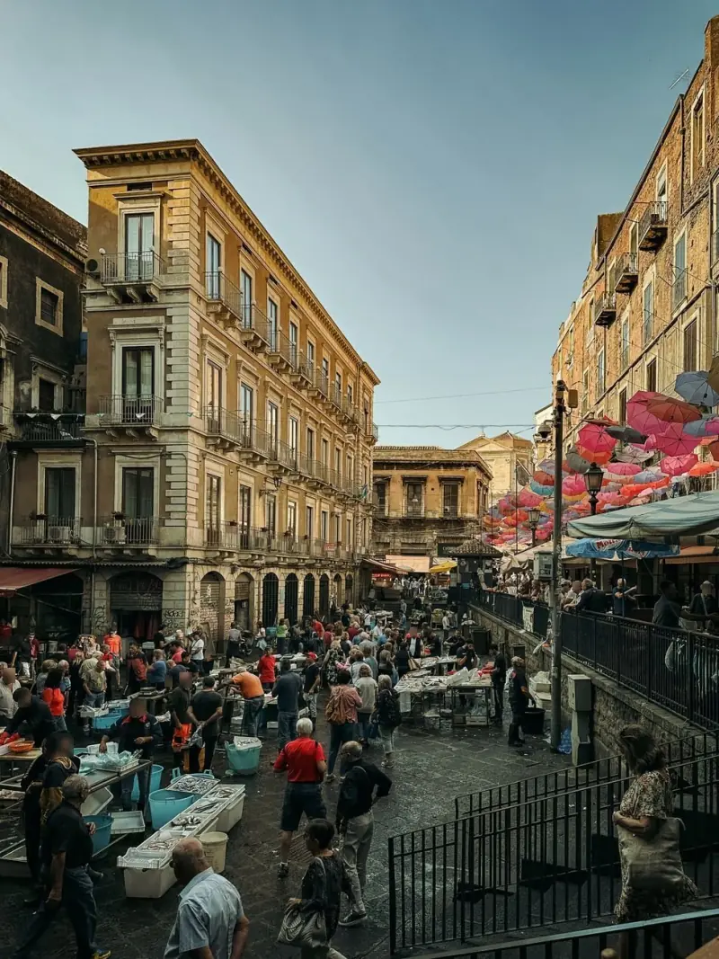 Mercadillo Semanal de Daganzo