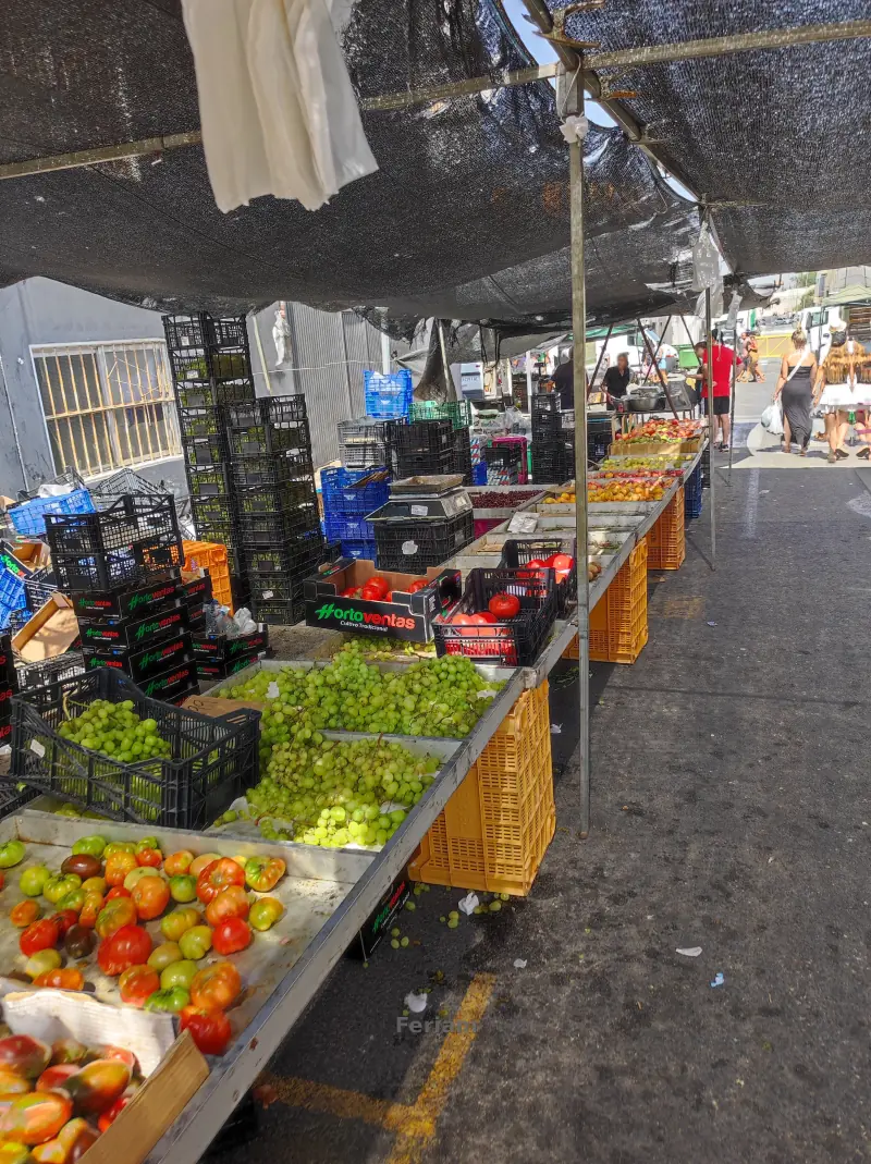 Mercadillo de los Miércoles de Guardamar del Segura — Foto 9