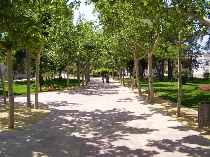 Mercadillo de Las Torres de Cotillas