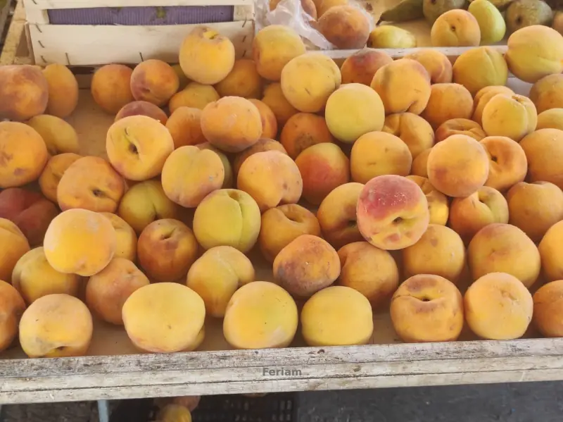 Mercadillo de Lo Pagán — Foto 32