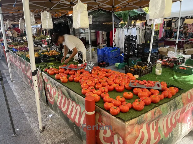 Mercadillo de La Fama — Foto 5