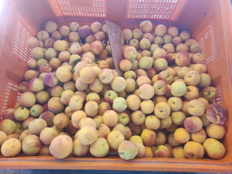 Mercadillo de Lo Pagán — Foto 25