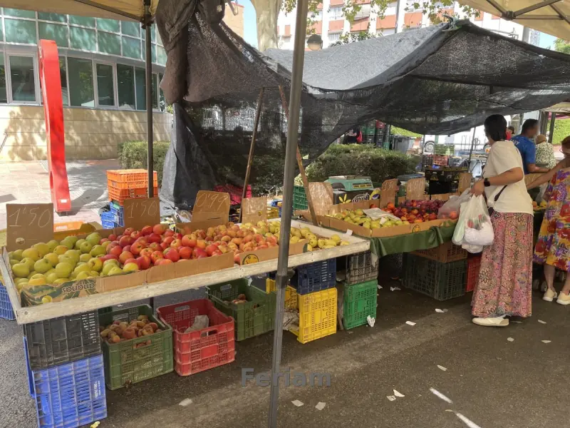 Mercadillo de La Fama — Foto 4