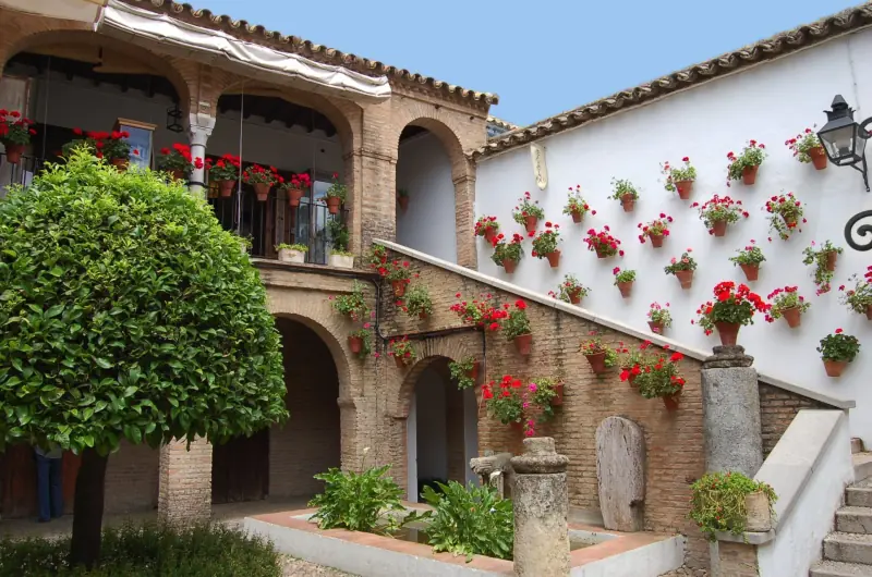Mercadillo de Noreña