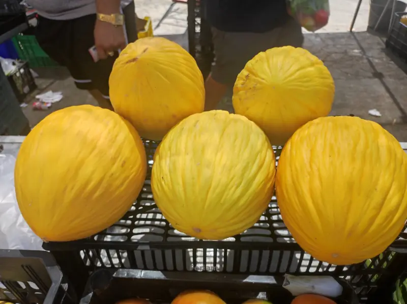 Mercadillo de Lo Pagán — Foto 34