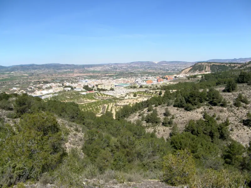 Mercadillo de Pliego