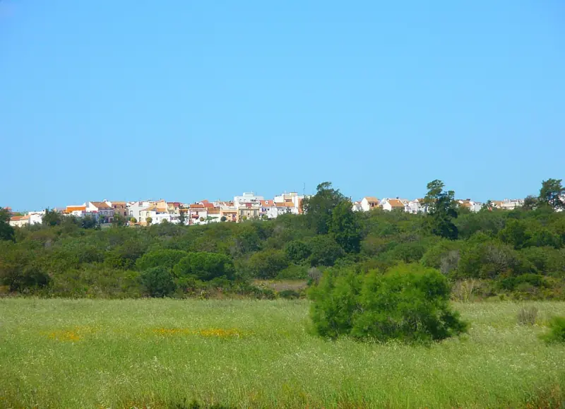 Mercadillo Semanal de Aljaraque — Foto 1