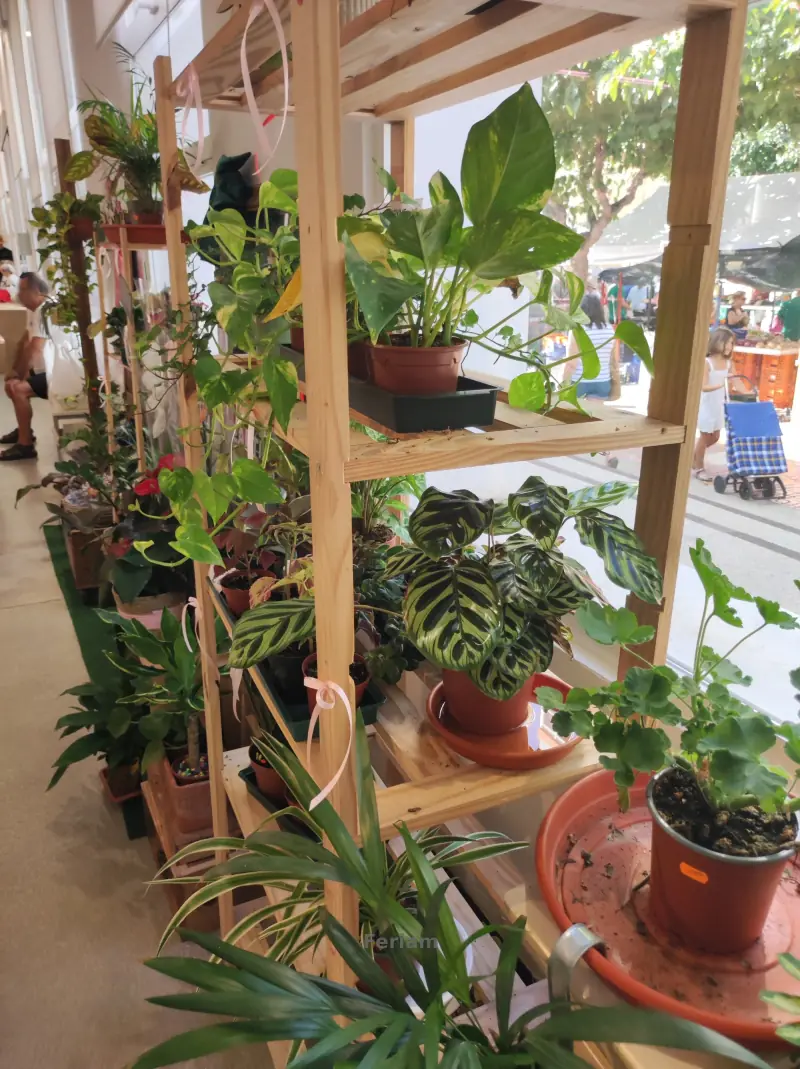 Mercado Municipal El Salvador de Mutxamel — Foto 17