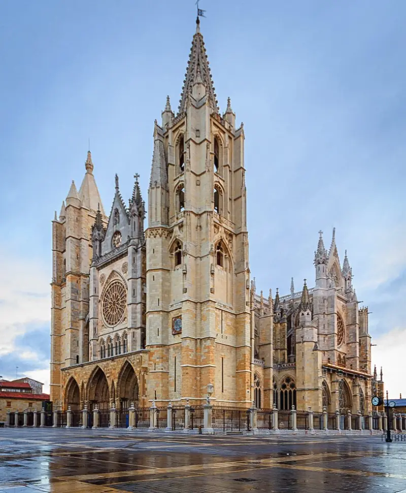 León Гастрономия Рынок