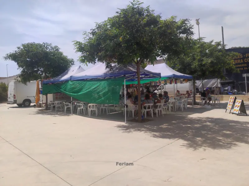 Mercadillo de los Miércoles de Guardamar del Segura — Foto 4