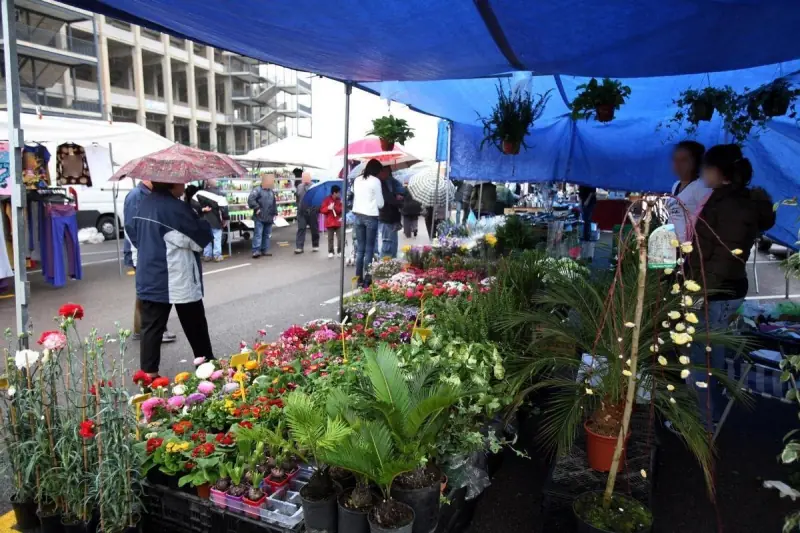 Mercadillo de Elche/Elx Estadio Martínez Valero — Foto 5