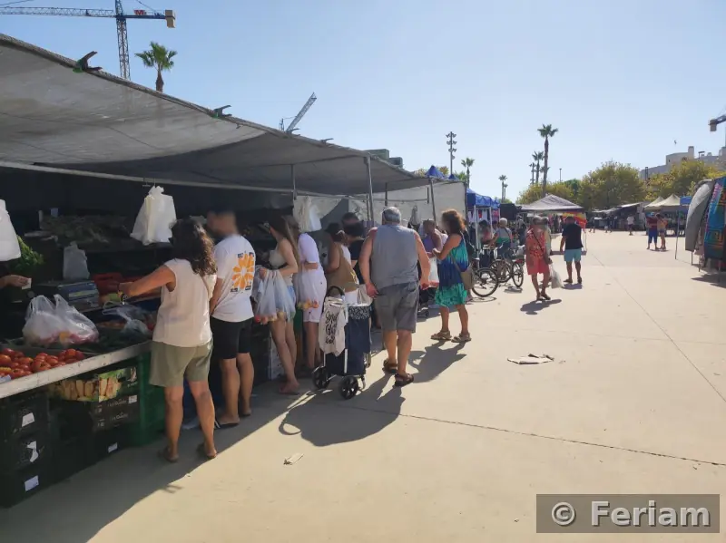 Mercadillo del Pilar de la Horadada