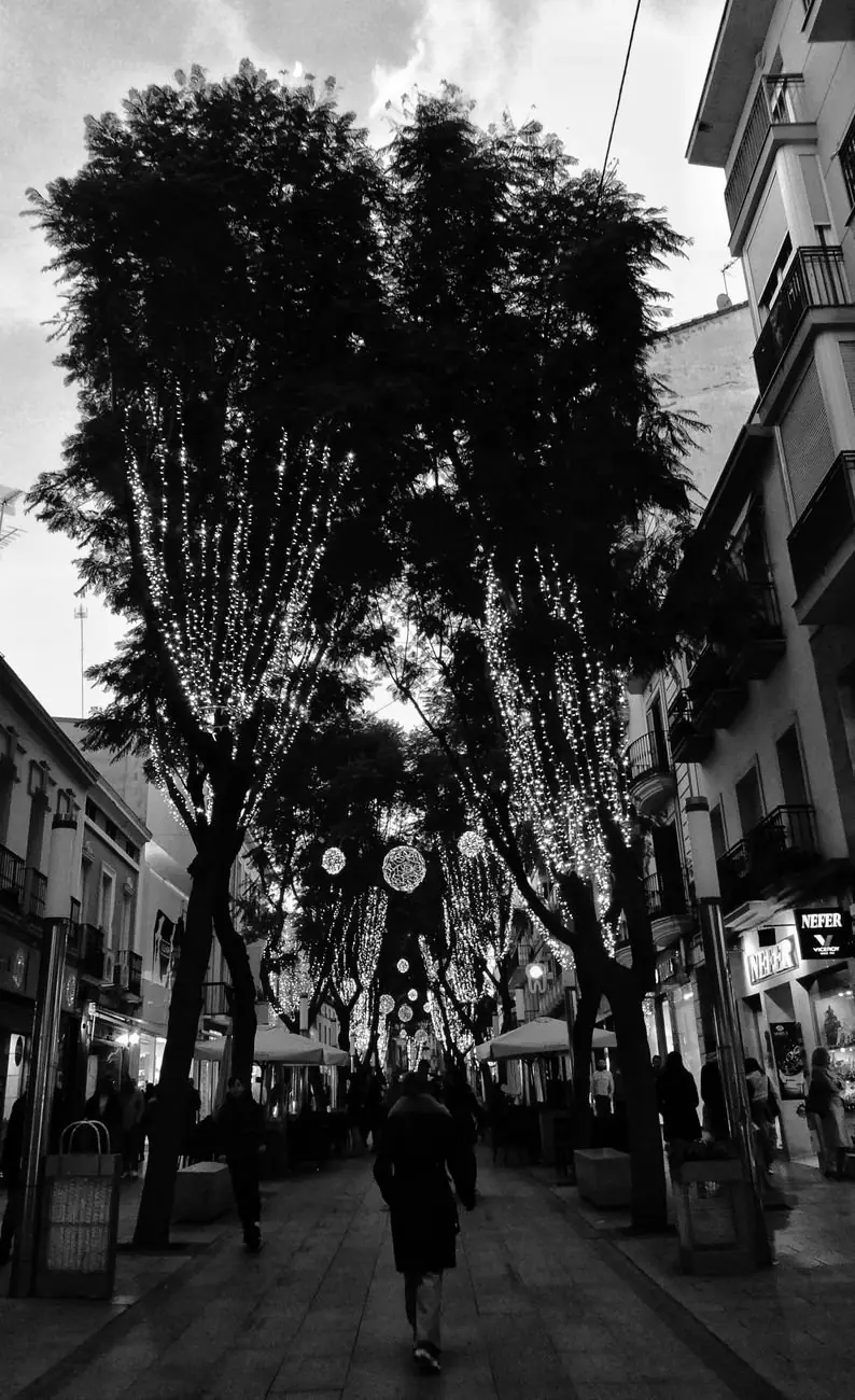 Mercadillo Callejero de Murcia (domingo)