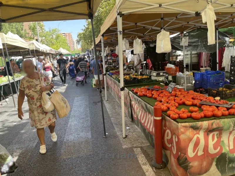 Mercadillo de La Fama — Foto 21