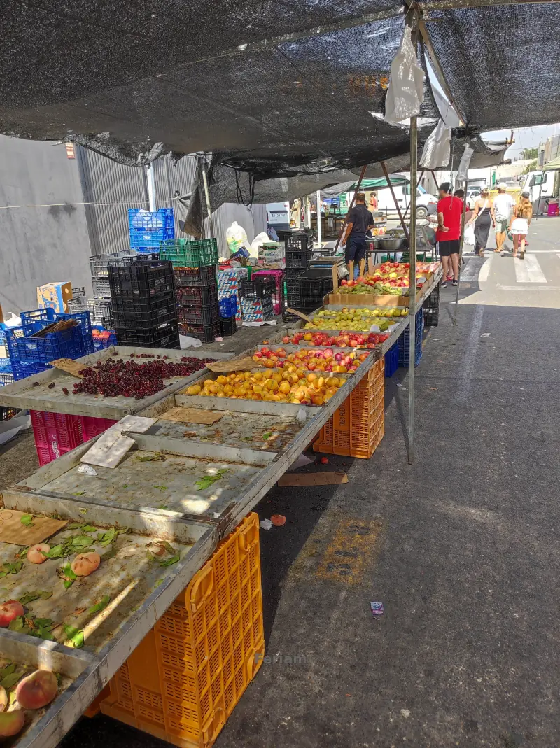 Mercadillo de los Miércoles de Guardamar del Segura — Foto 10